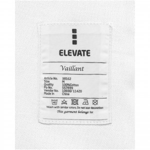 Elevate Vaillant ing, fehr (ing)