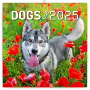 Lemeznaptr Dogs 2024, 30  30 cm (naptr)